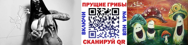 наркошоп  Вязьма  Галлюциногенные грибы Cubensis 